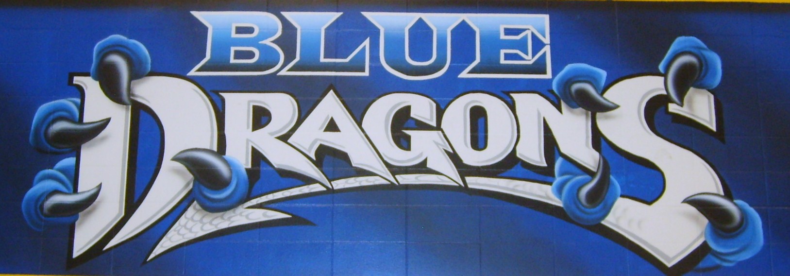 Blue Dragons Mural.JPG